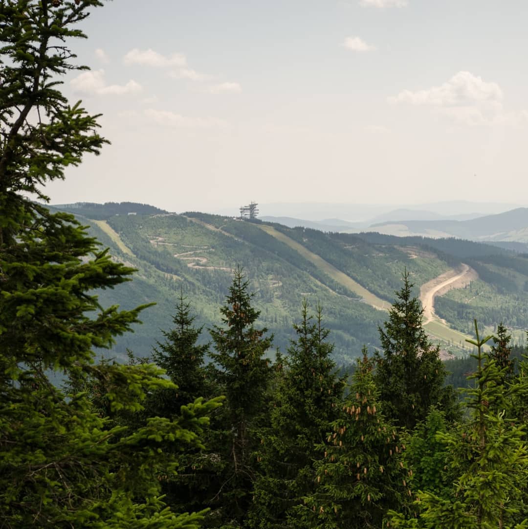 Śnieżnik 1425 m n.p.m@2021-07-27