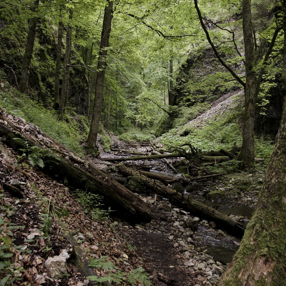 Kláštorisko, Slovak Paradise@2021-08-12