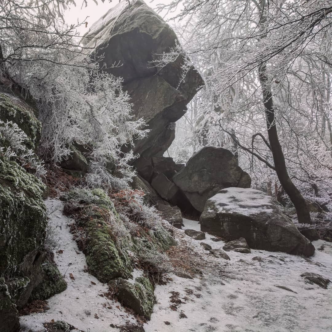 Góry Sowie@2021-12-18 - Photo 4
