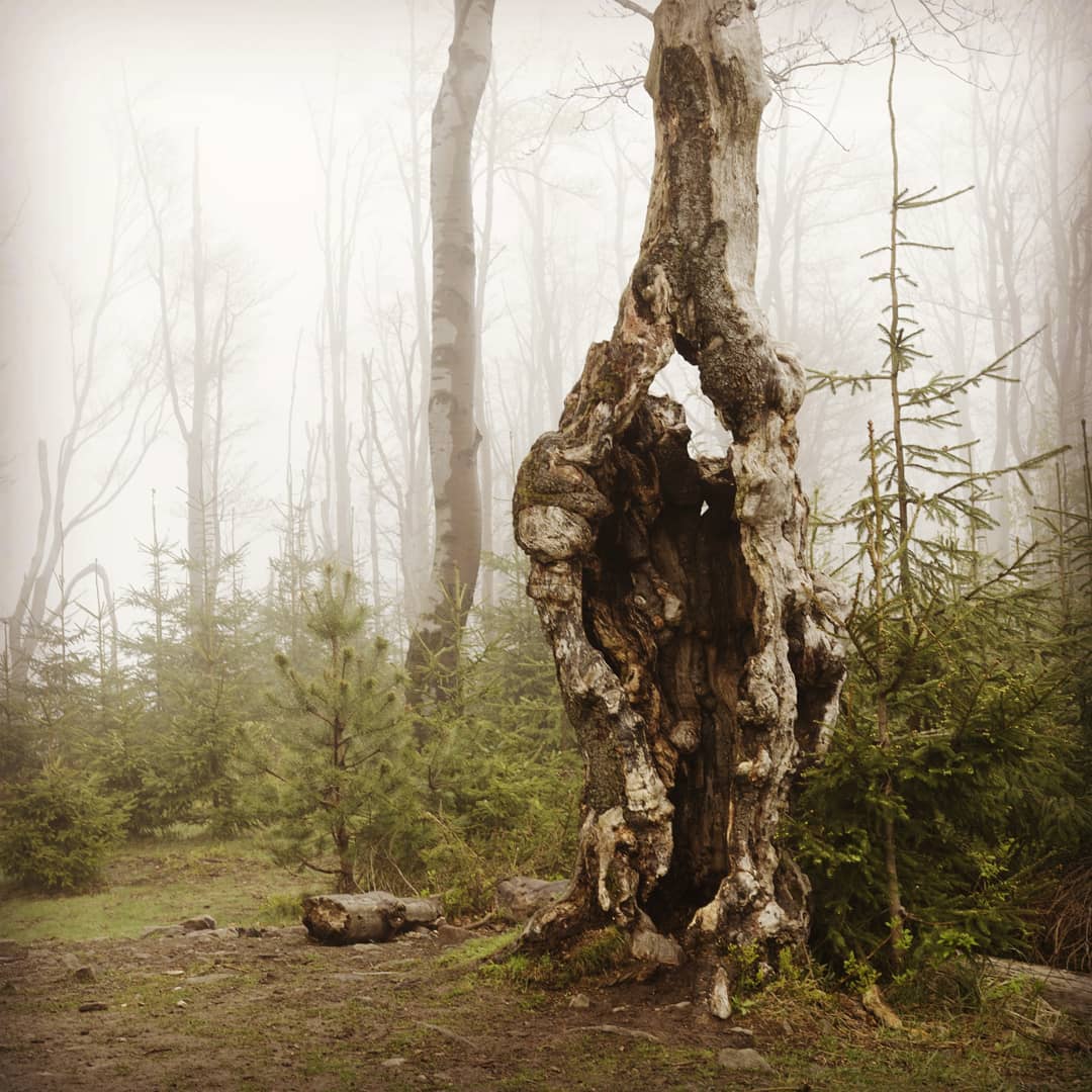 Beskid Mały, Czupel 933m npm@2021-05-02 - Photo 5