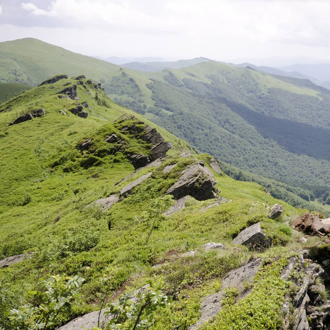Tarnica (1346 m n.p.m.) – najwyższy szczyt polskich Bieszczadów@2021-06-19