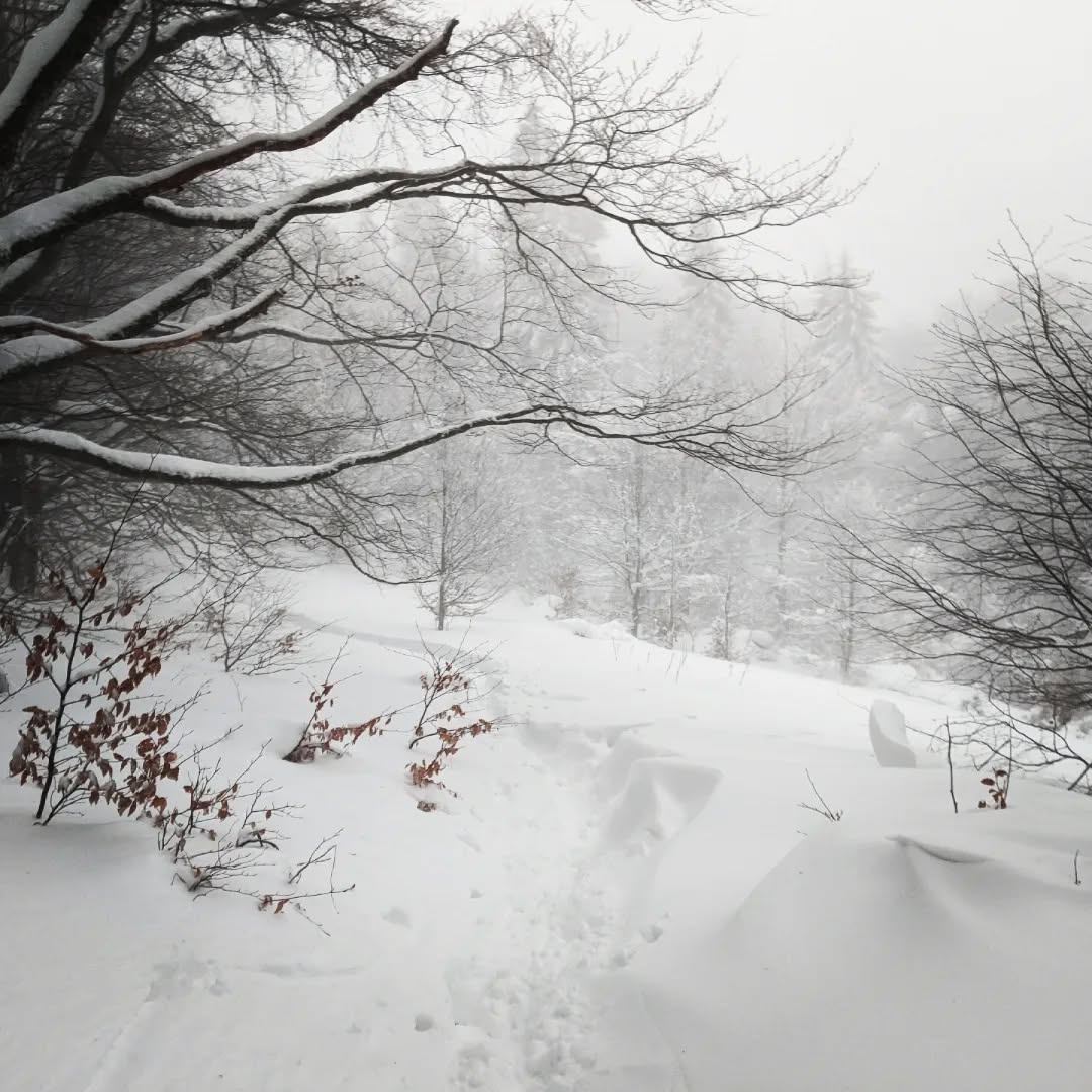 Bieszczady@2023-02-26