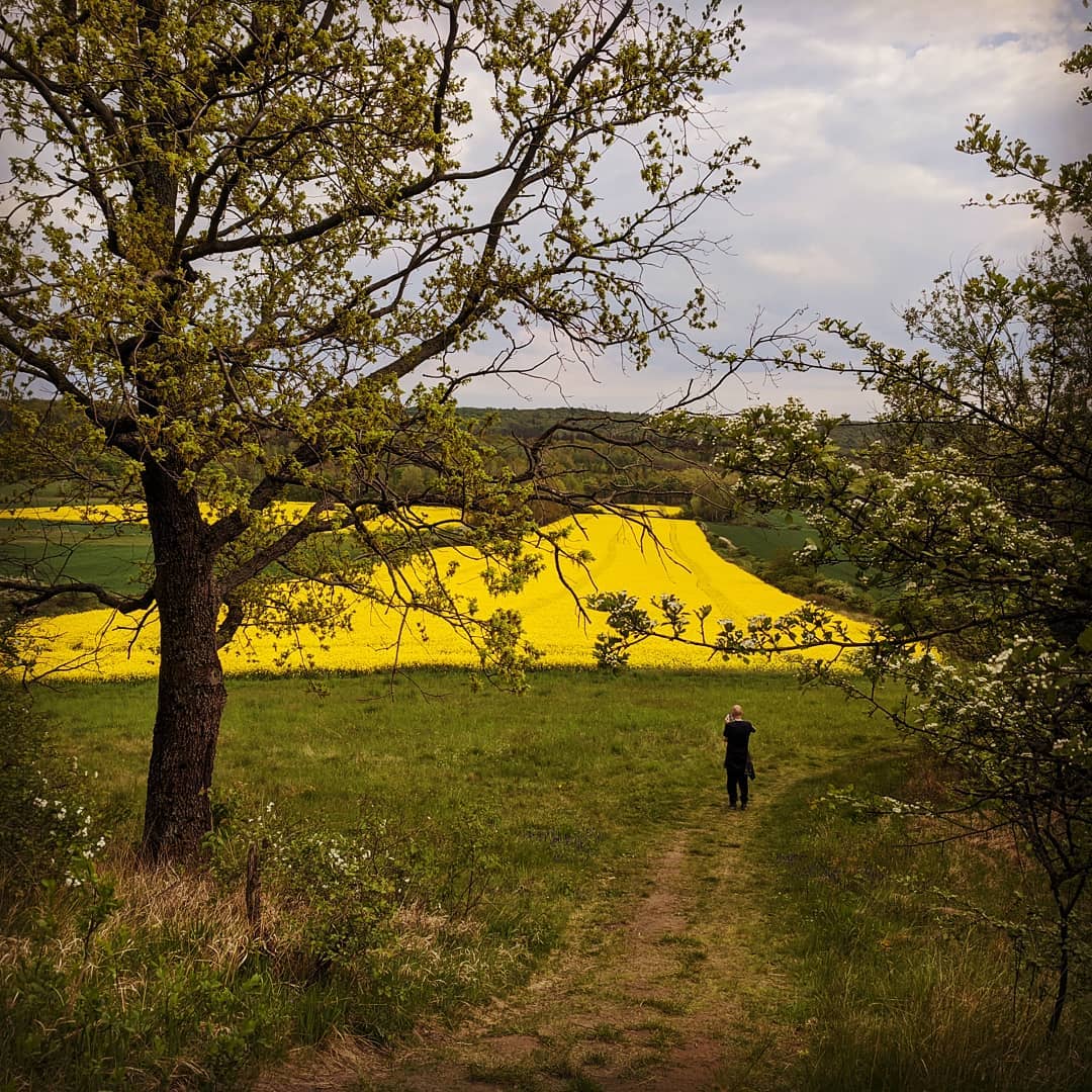 Pogórze Kaczawskie@2021-05-14 - Photo 3