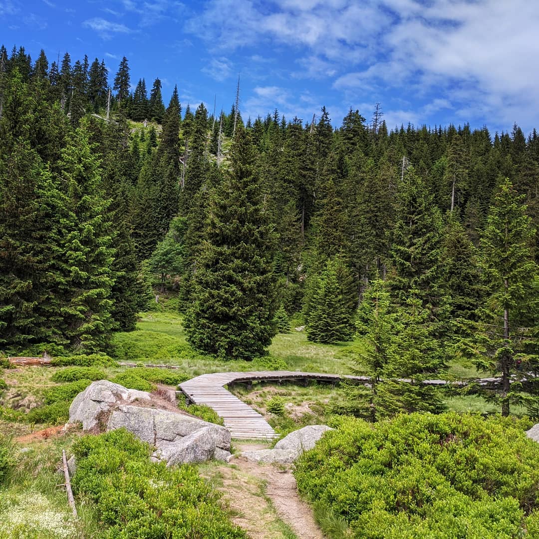 Krkonoše@2020-07-18 - Photo 9