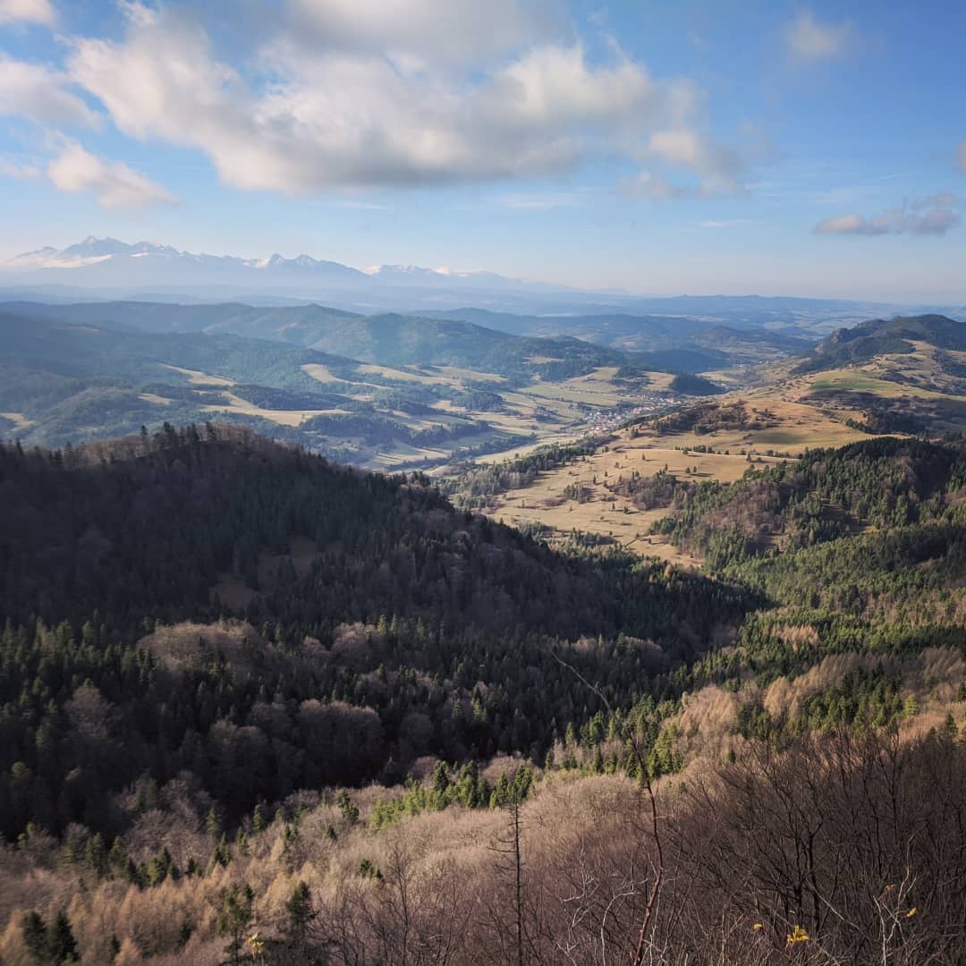 Wysoka 1052 Npm@2021-11-15 - Photo 4