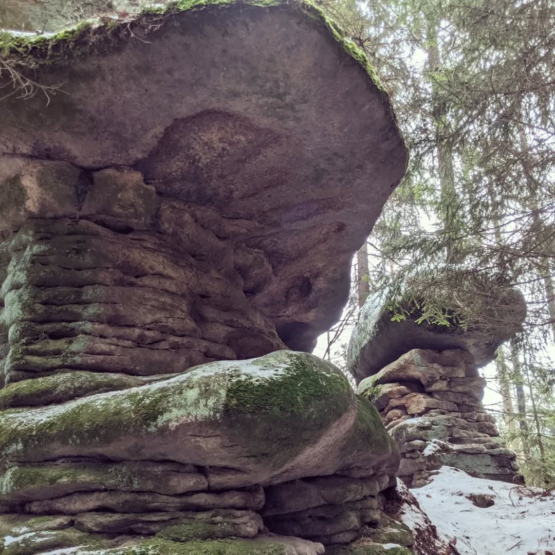 Skalne Grzyby@2022-01-17 - Photo 9