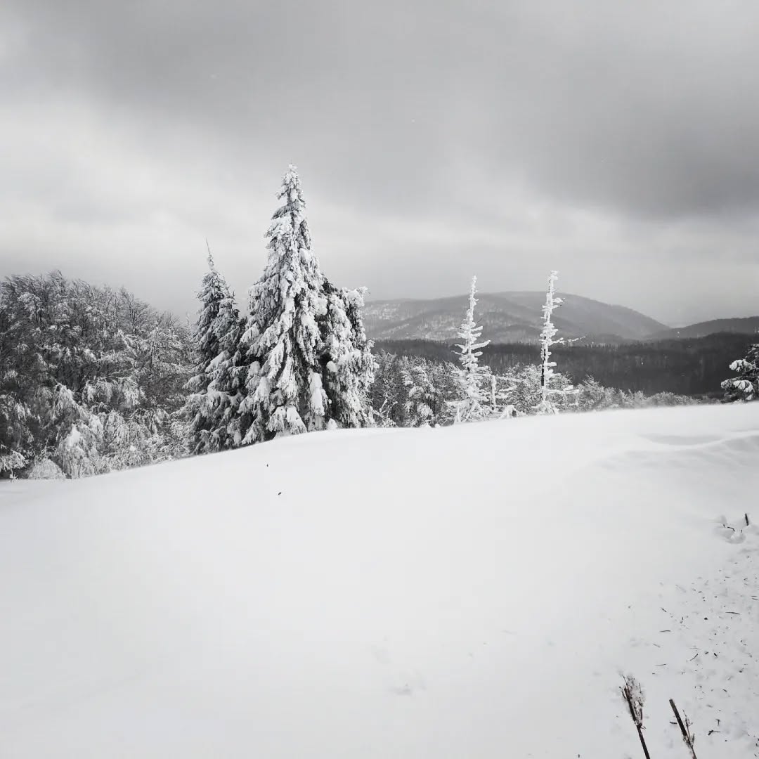 Bieszczady@2023-02-26 - Photo 5