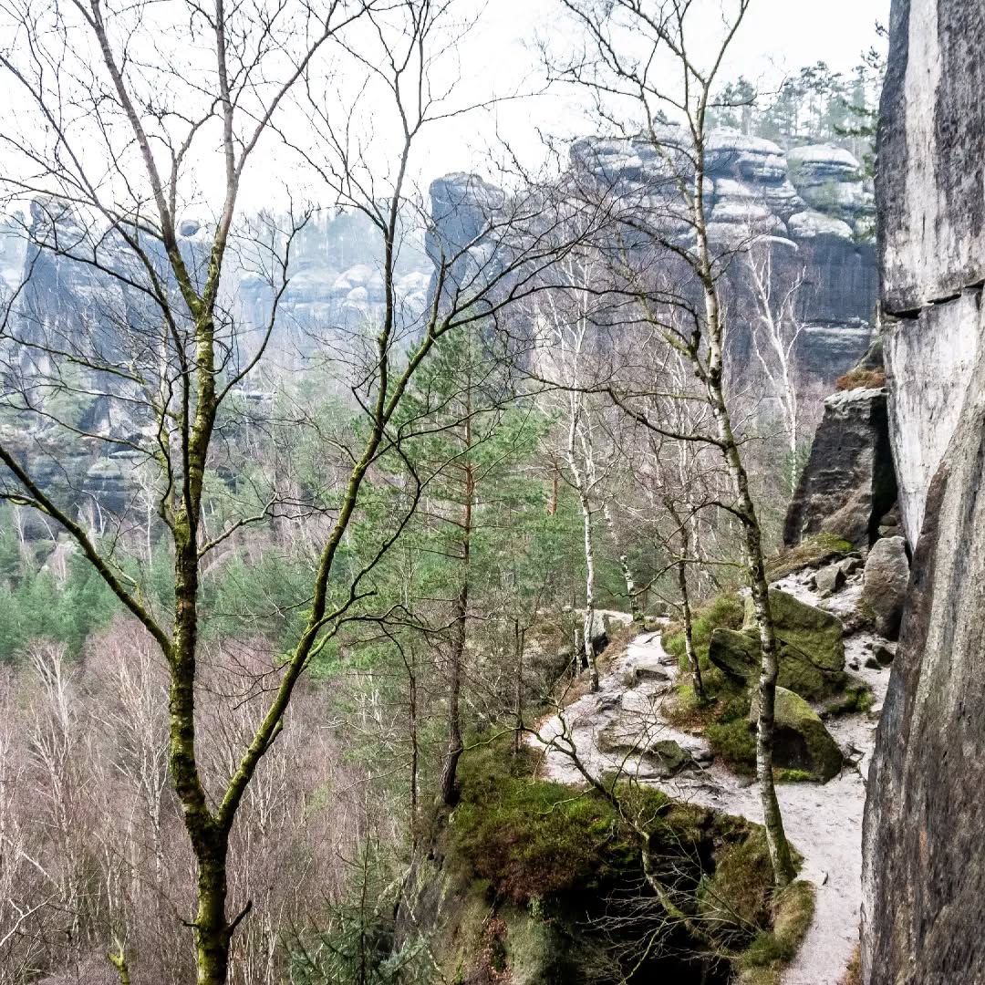 Bad Schandau@2023-03-01 - Photo 10