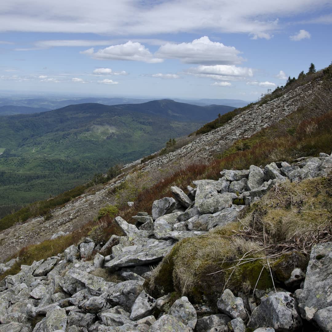 Babia Góra, 1725 m npm@2021-06-10