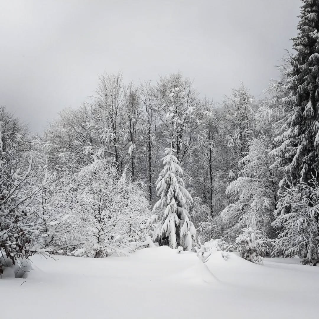 Bieszczady@2023-02-26 - Photo 4