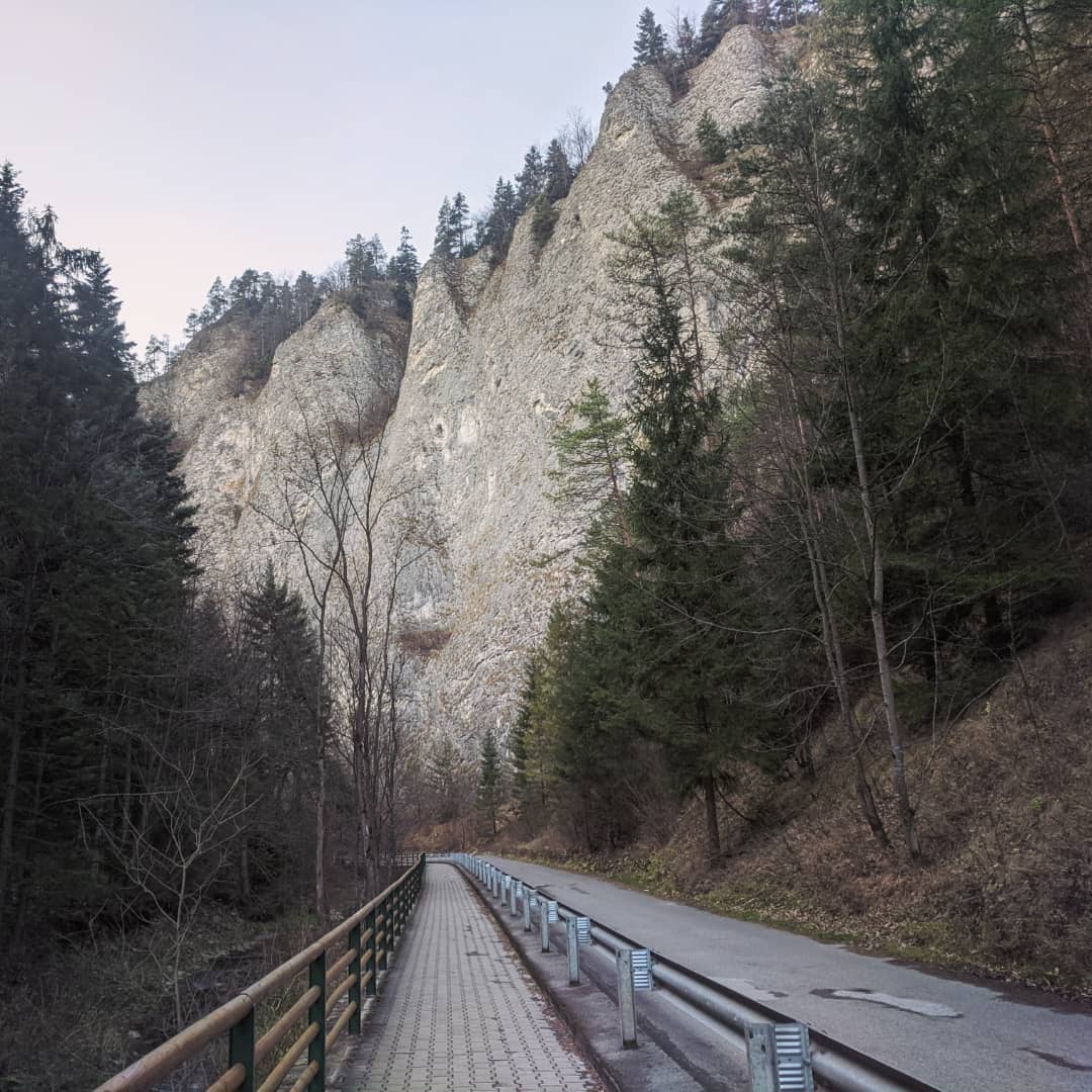 Wysoka 1052 Npm@2021-11-15 - Photo 7