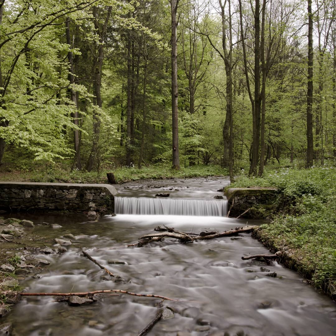 Beskid Śląski@2021-04-29 - Photo 2