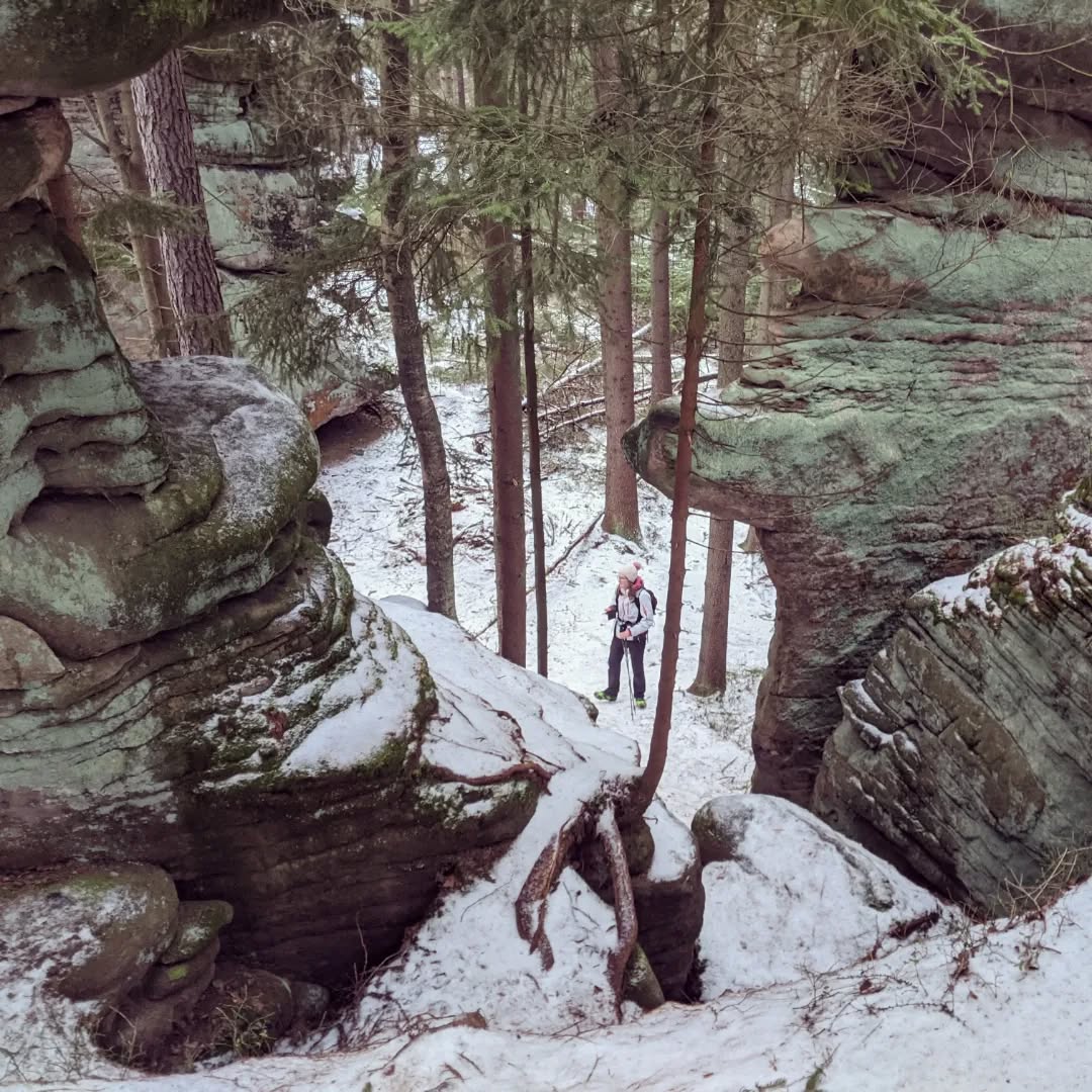 Skalne Grzyby@2022-01-17 - Photo 7