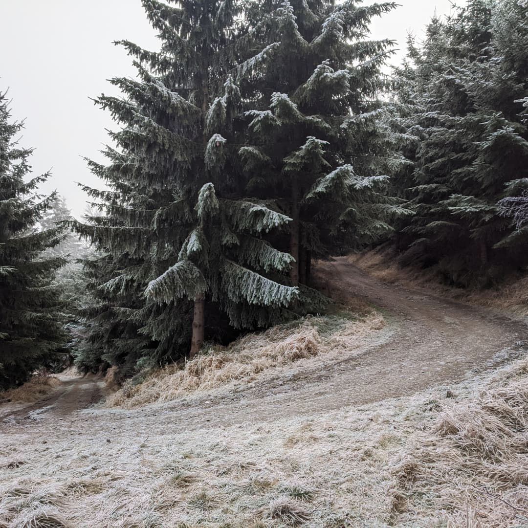 Jawornik Wielki@2021-12-27 - Photo 2