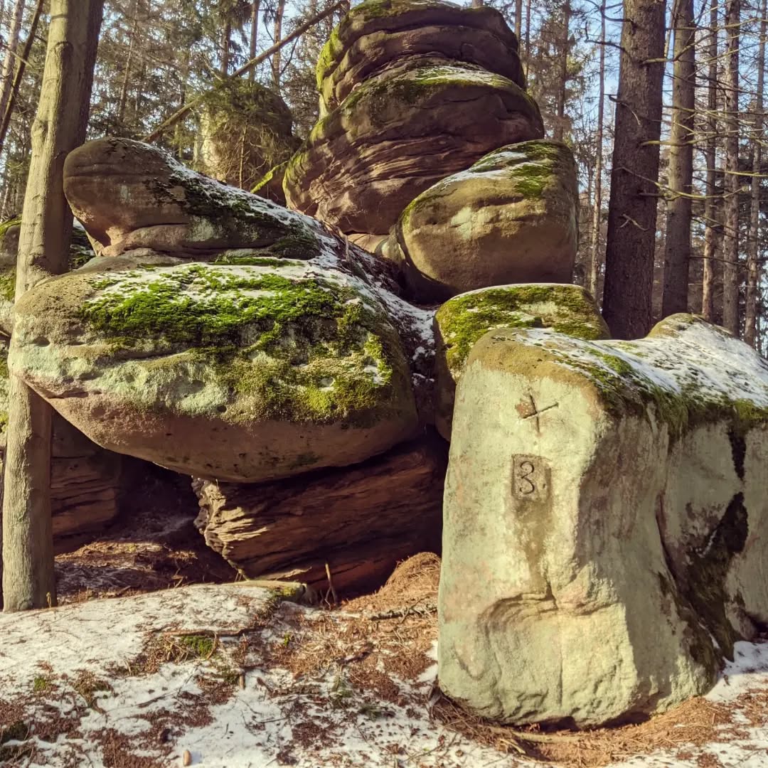 Skalne Grzyby@2022-01-17 - Photo 1