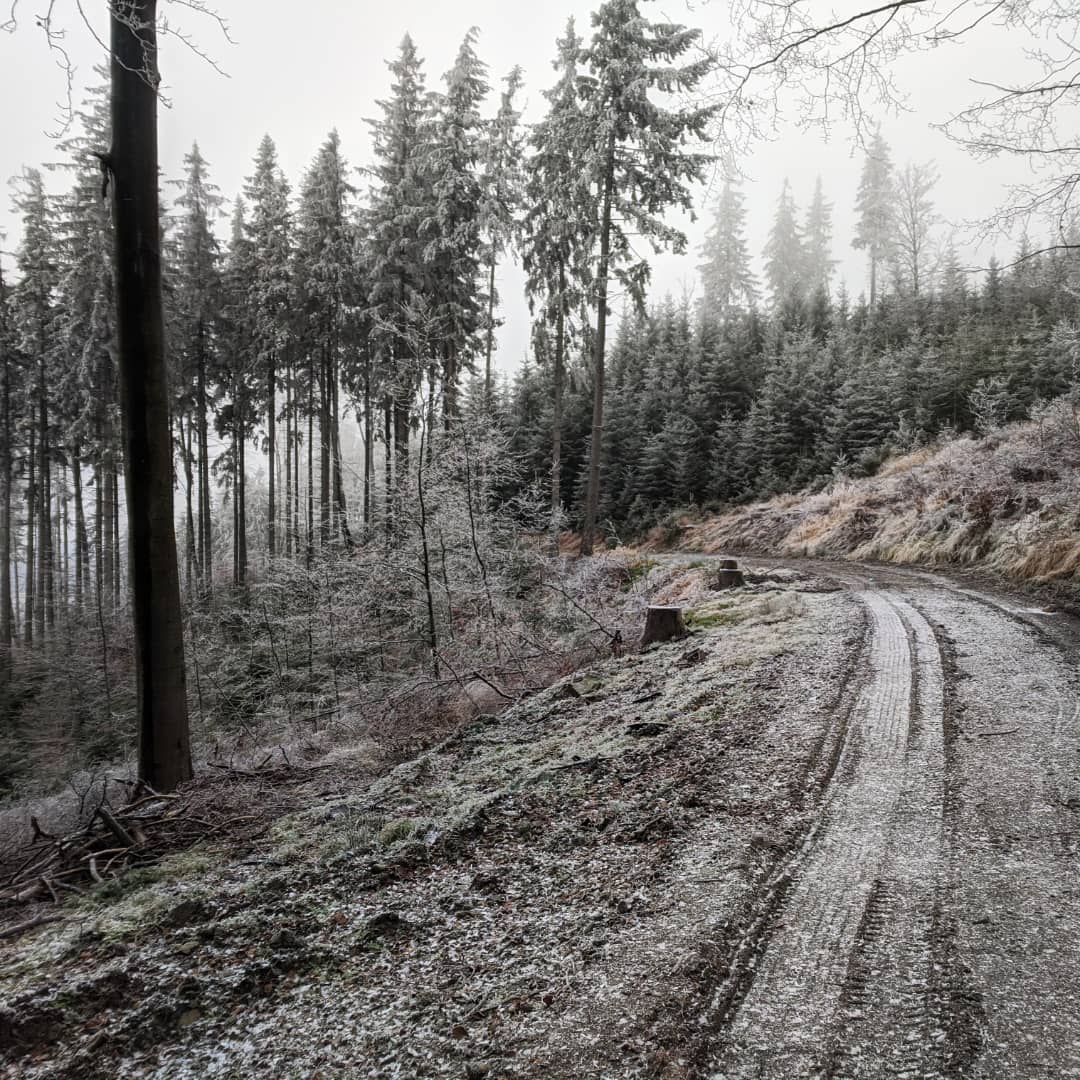 Jawornik Wielki@2021-12-27 - Photo 4