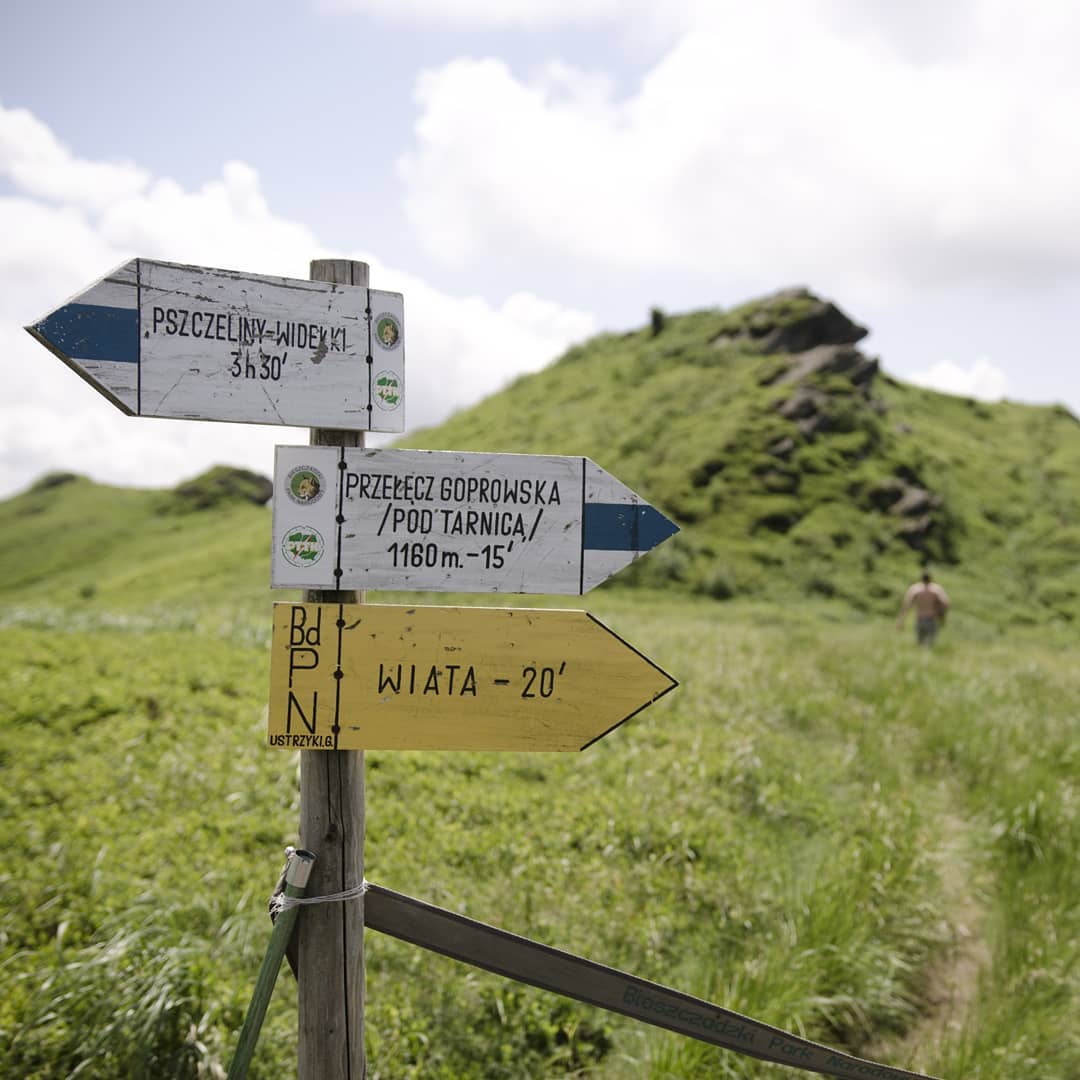 Tarnica (1346 m n.p.m.) – najwyższy szczyt polskich Bieszczadów@2021-06-19 - Photo 4