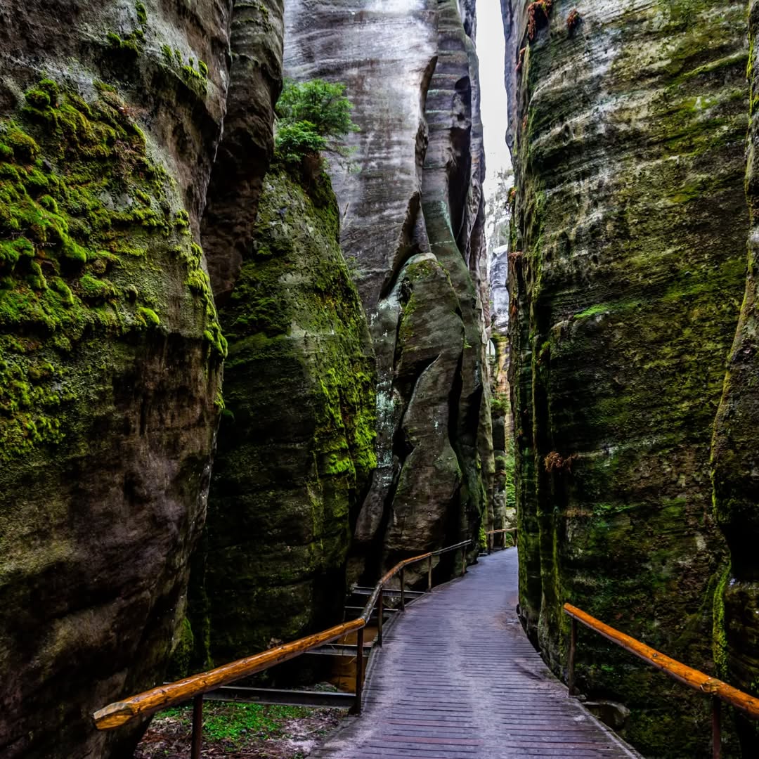 Adršpašské skály@2023-04-02 - Photo 7