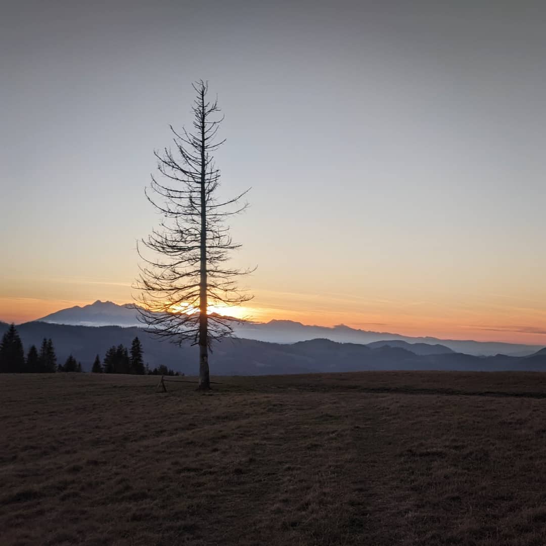 Radziejowa 1262 M Npm@2021-11-18 - Photo 9