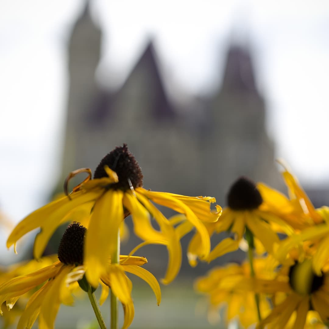 Zamek Moszna@2021-09-14 - Photo 6