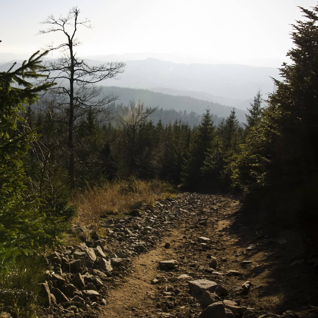 Radziejowa 1262 M Npm@2021-11-18 - Photo 6
