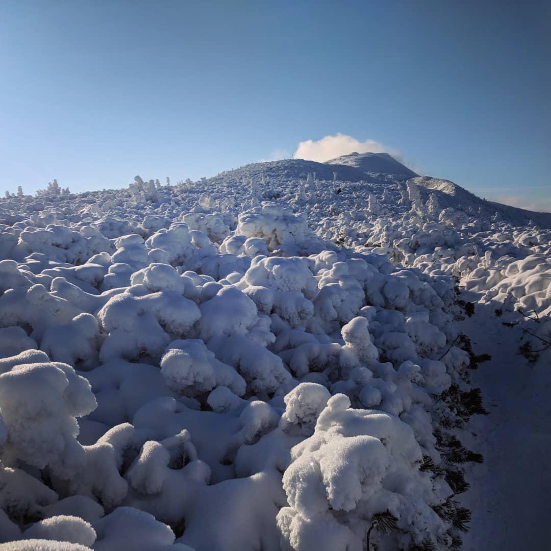 Babia Góra, 1725 m npm@2021-12-16 - Photo 9