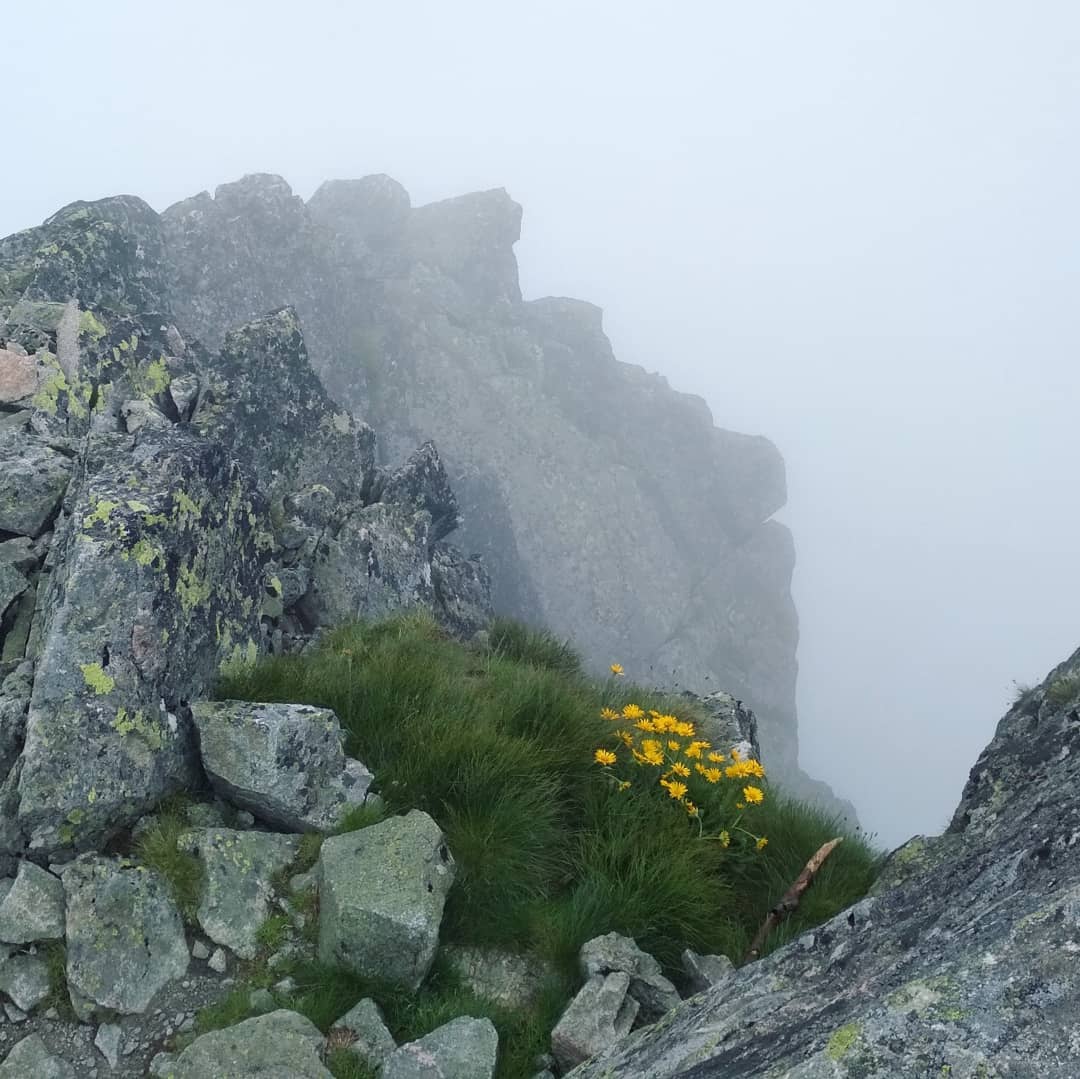 Kościelec 2155 M Npm@2021-07-15 - Photo 4