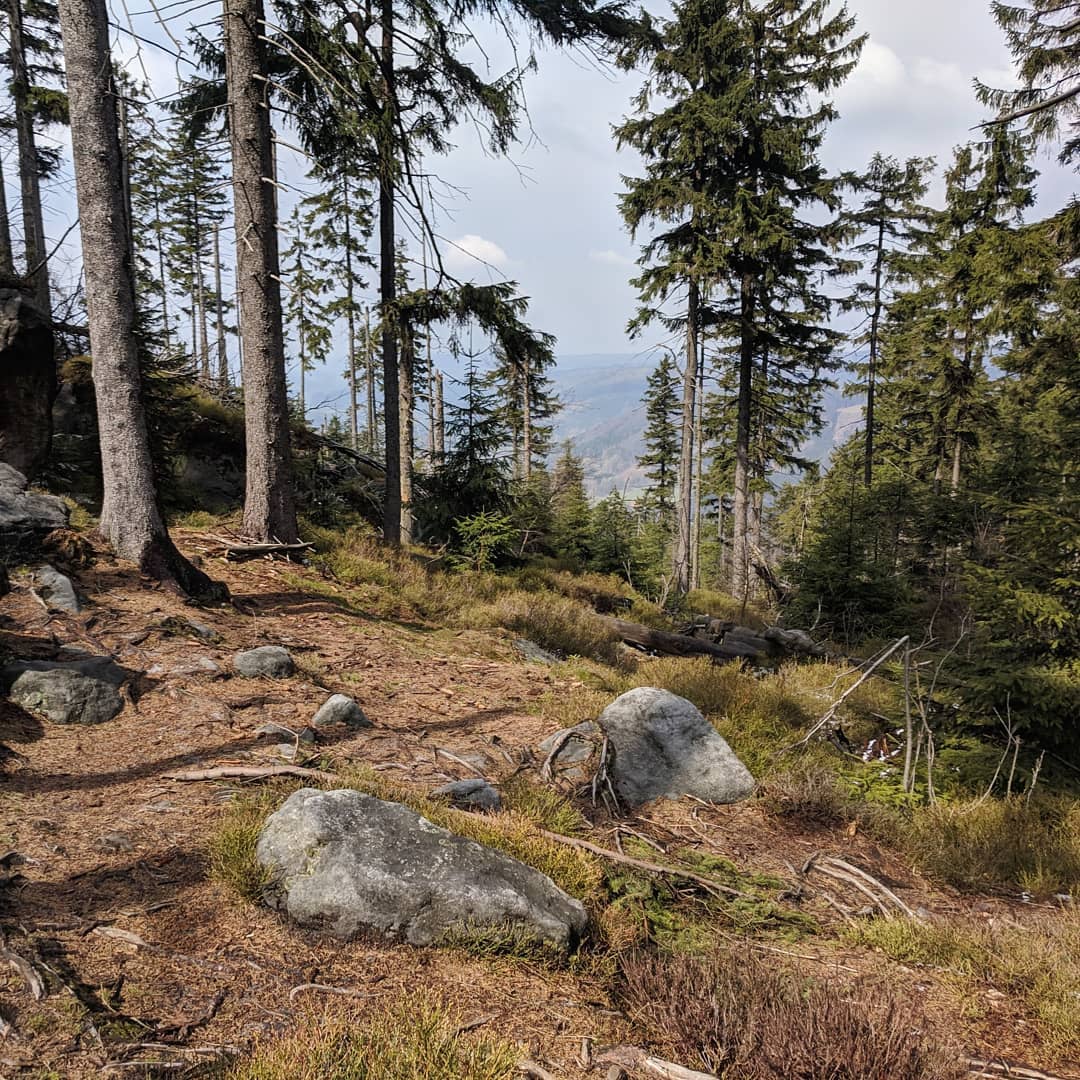 Góry Stołowe@2021-04-07 - Photo 6