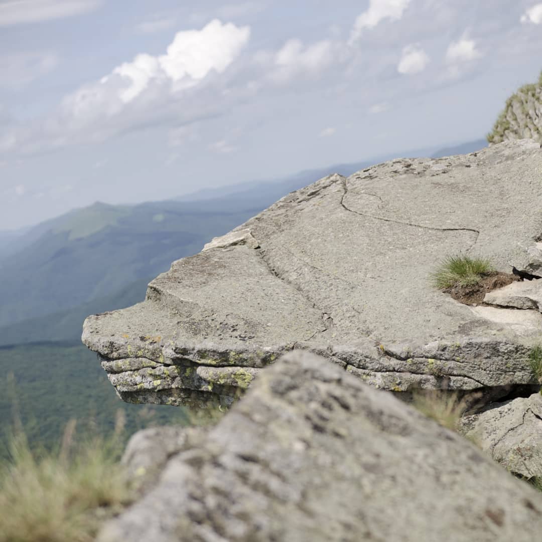 Tarnica (1346 m n.p.m.) – najwyższy szczyt polskich Bieszczadów@2021-06-19 - Photo 5