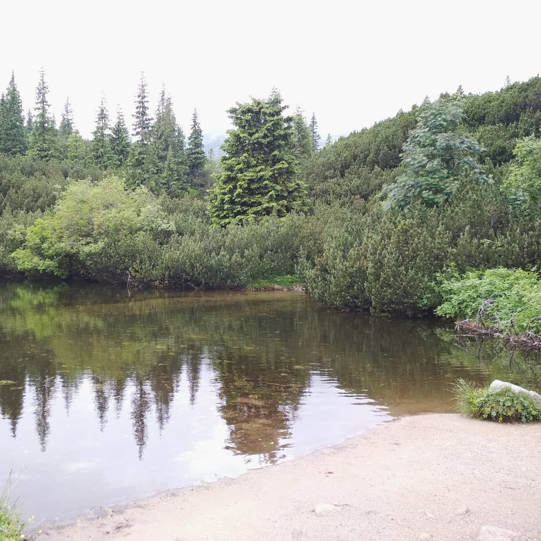 Hala Gasienicowa@2021-07-17 - Photo 3