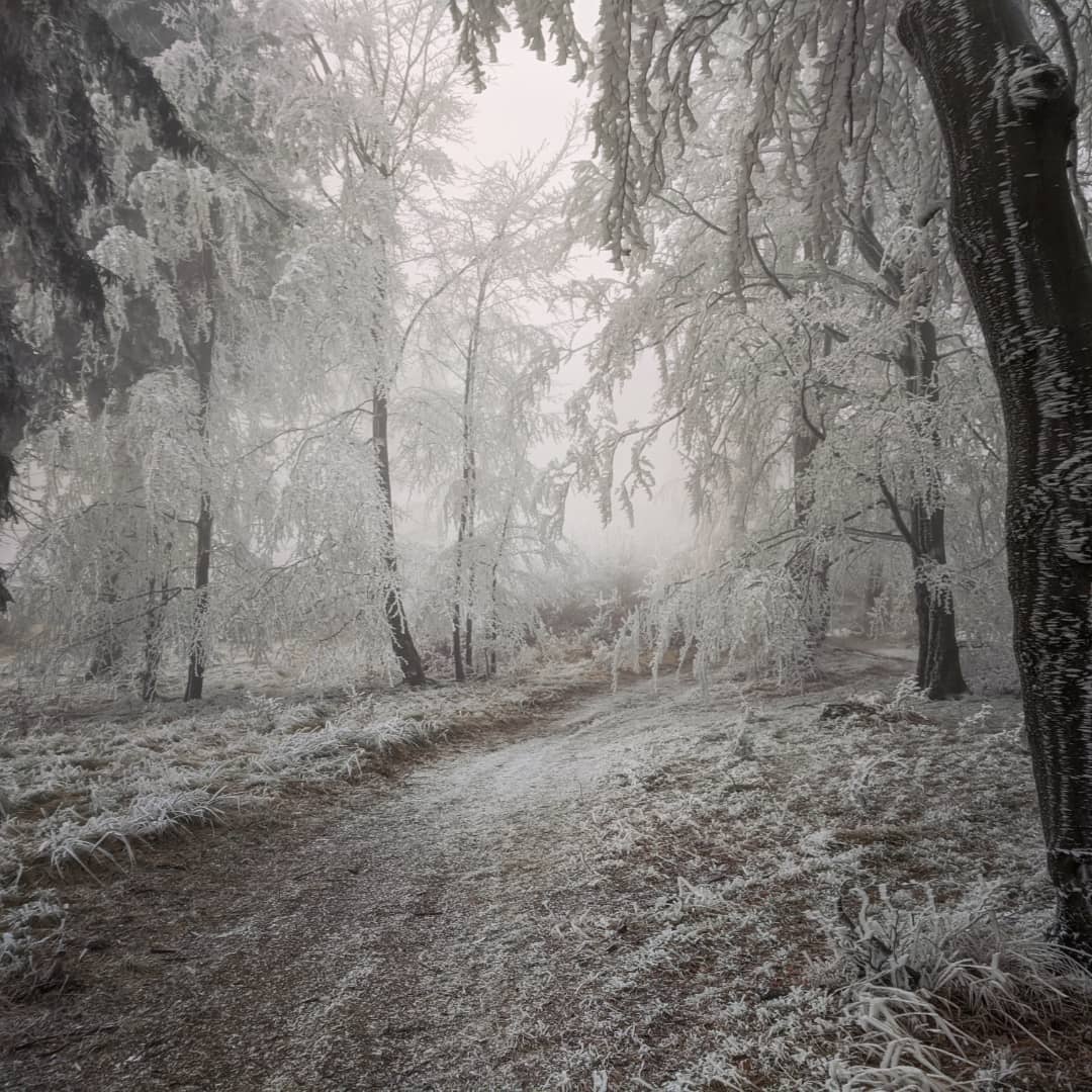 Góry Sowie@2021-12-18 - Photo 7