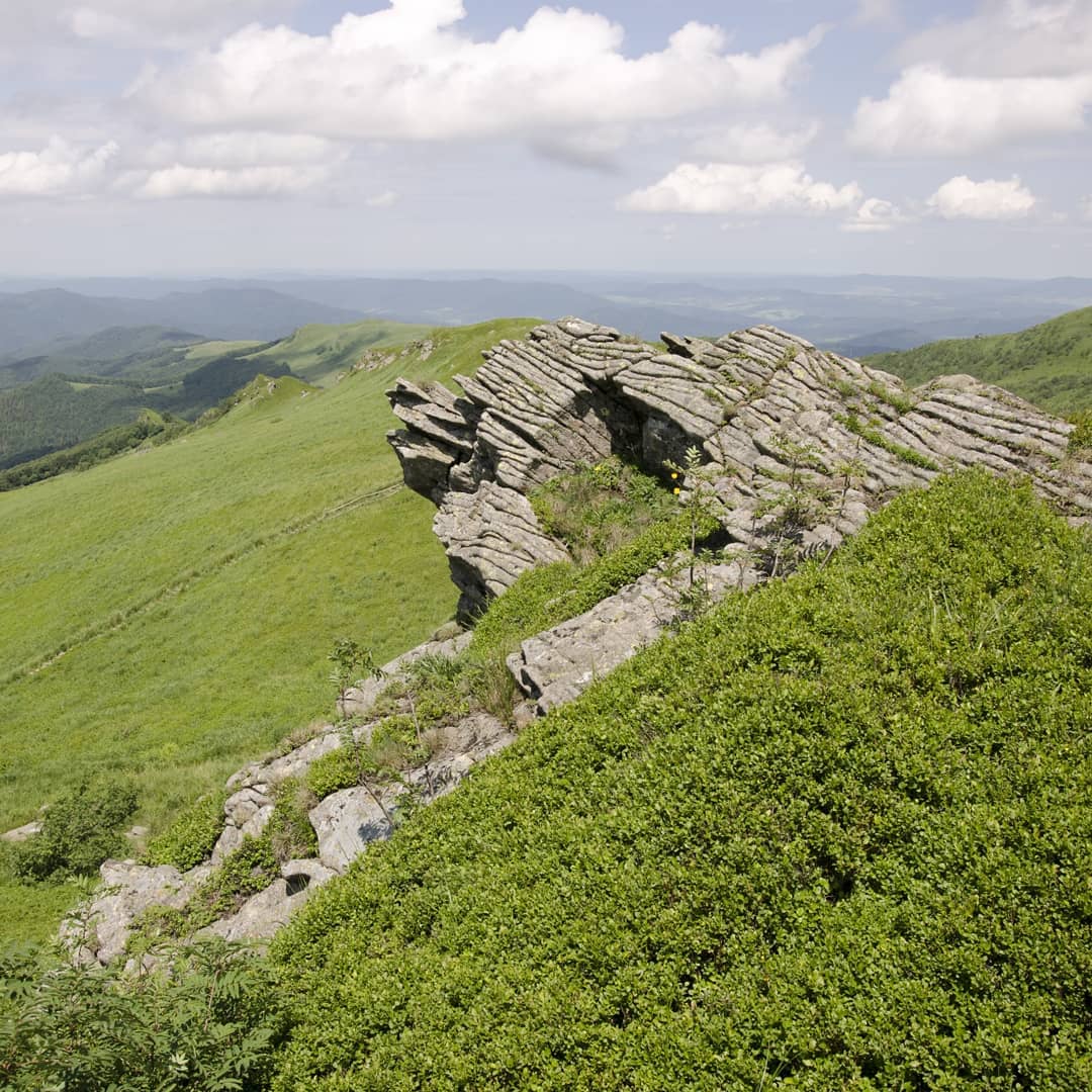 Tarnica (1346 m n.p.m.) – najwyższy szczyt polskich Bieszczadów@2021-06-19 - Photo 7