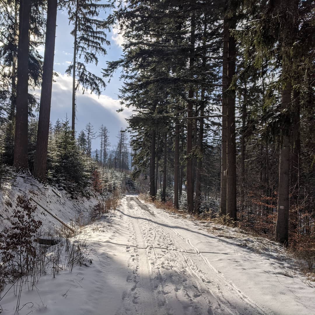 Góry Złote@2021-03-22 - Photo 10