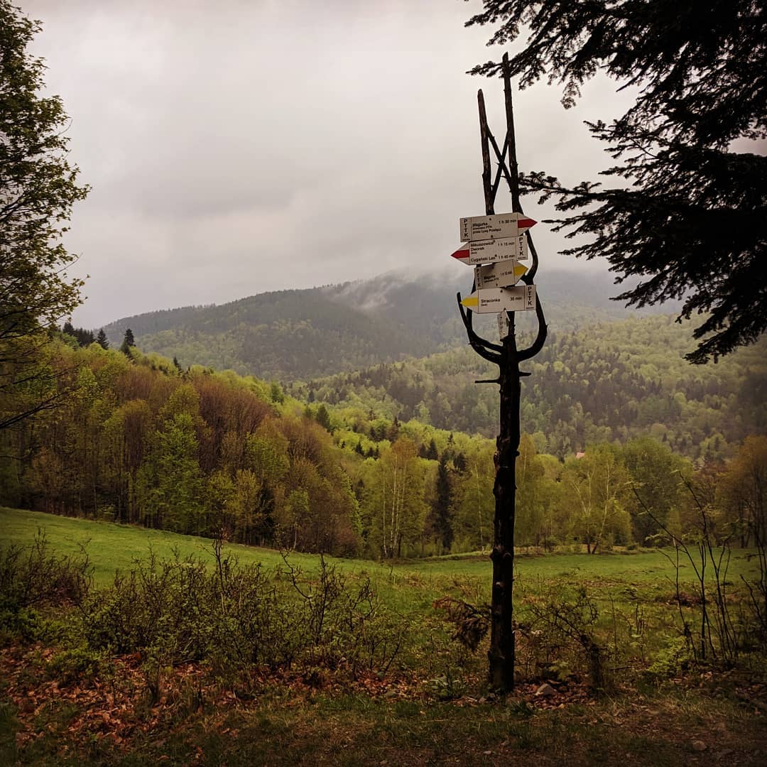 Beskid Mały, Czupel 933m npm@2021-05-02 - Photo 1