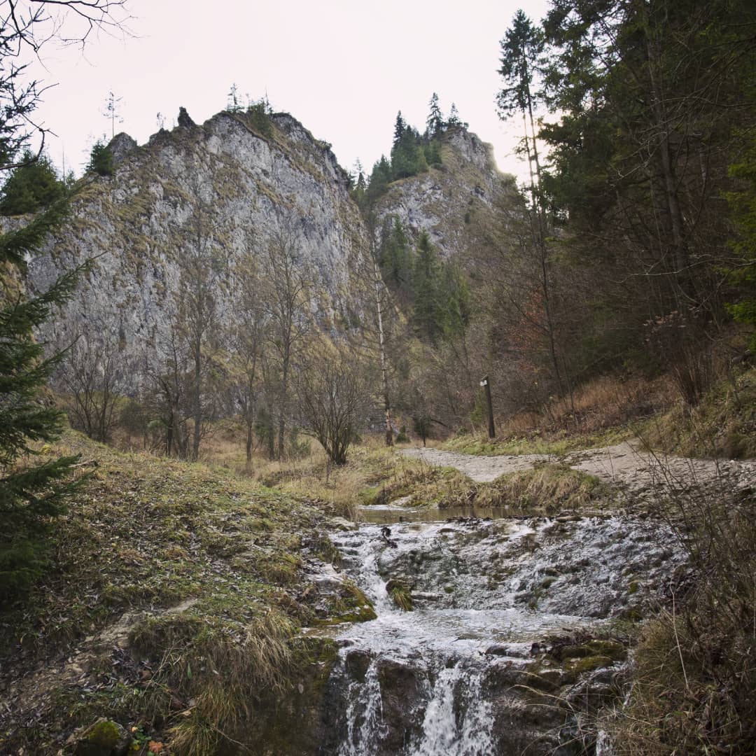 Wysoka 1052 Npm@2021-11-15 - Photo 6