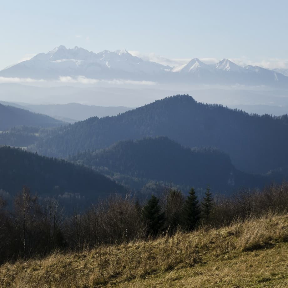 Radziejowa 1262 M Npm@2021-11-18