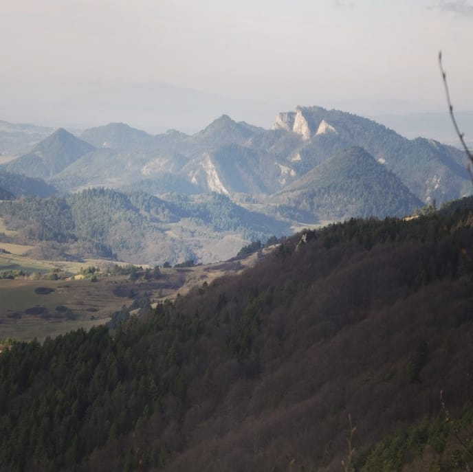 Wysoka 1052 Npm@2021-11-15 - Photo 1