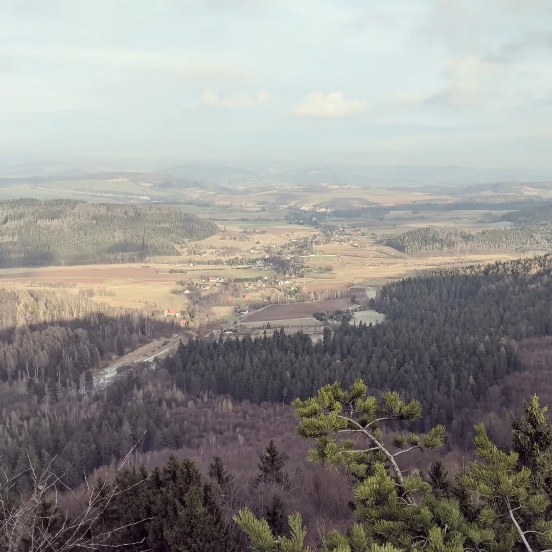 Skalne Grzyby@2022-01-17 - Photo 10