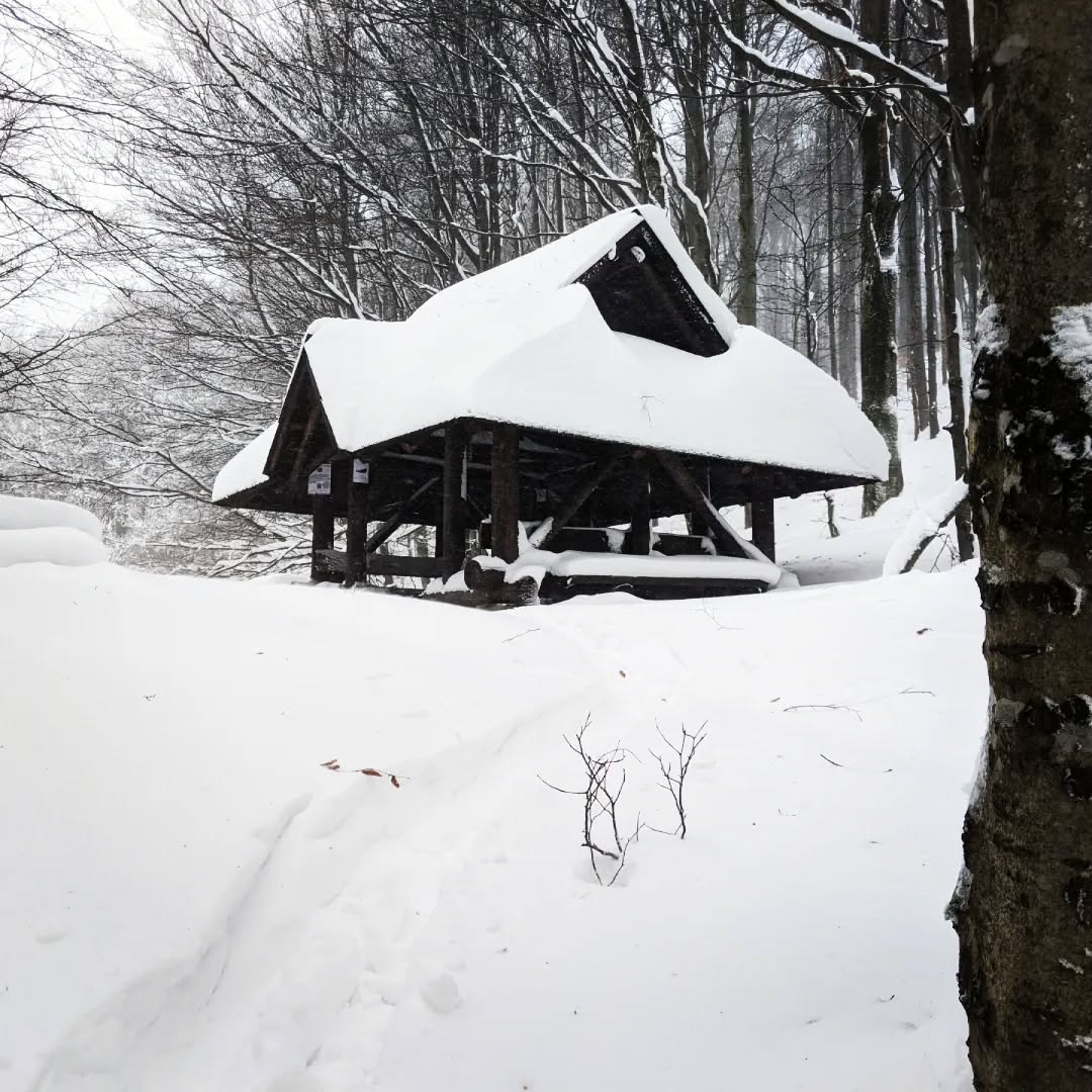 Bieszczady@2023-02-26 - Photo 2