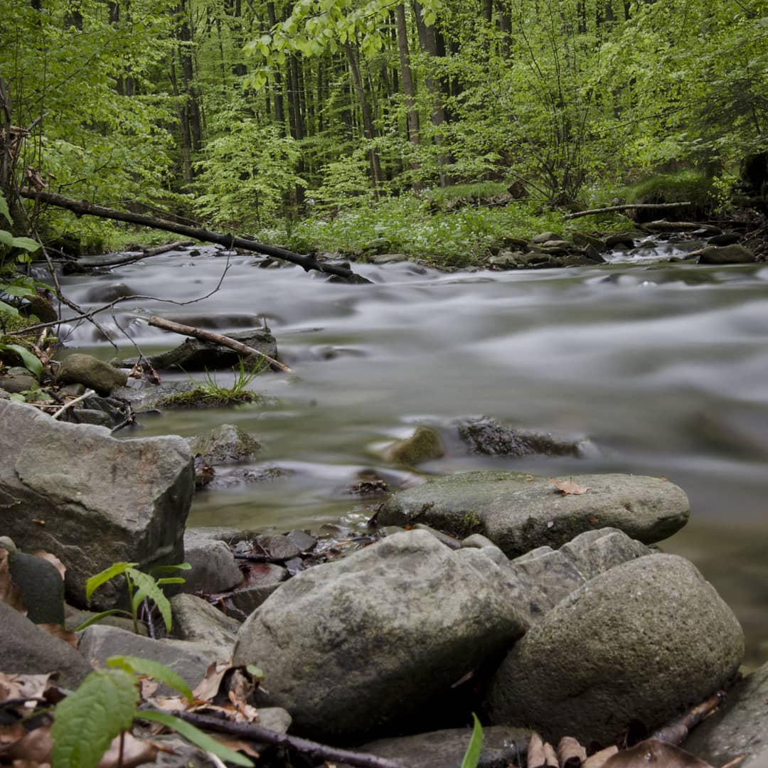 Beskid Śląski@2021-04-29 - Photo 4
