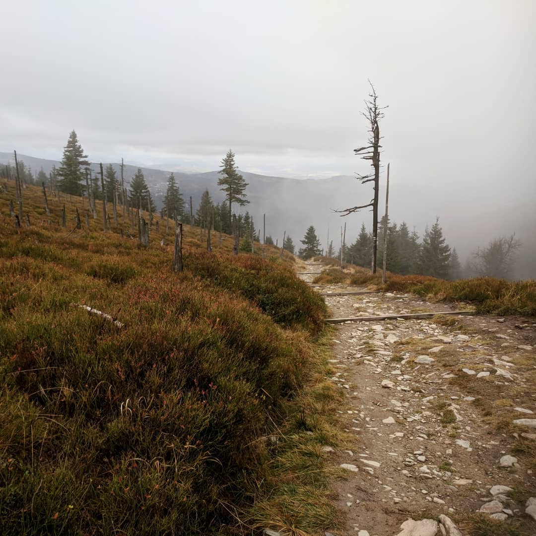 Śnieżka 1603 m npm@2021-10-22