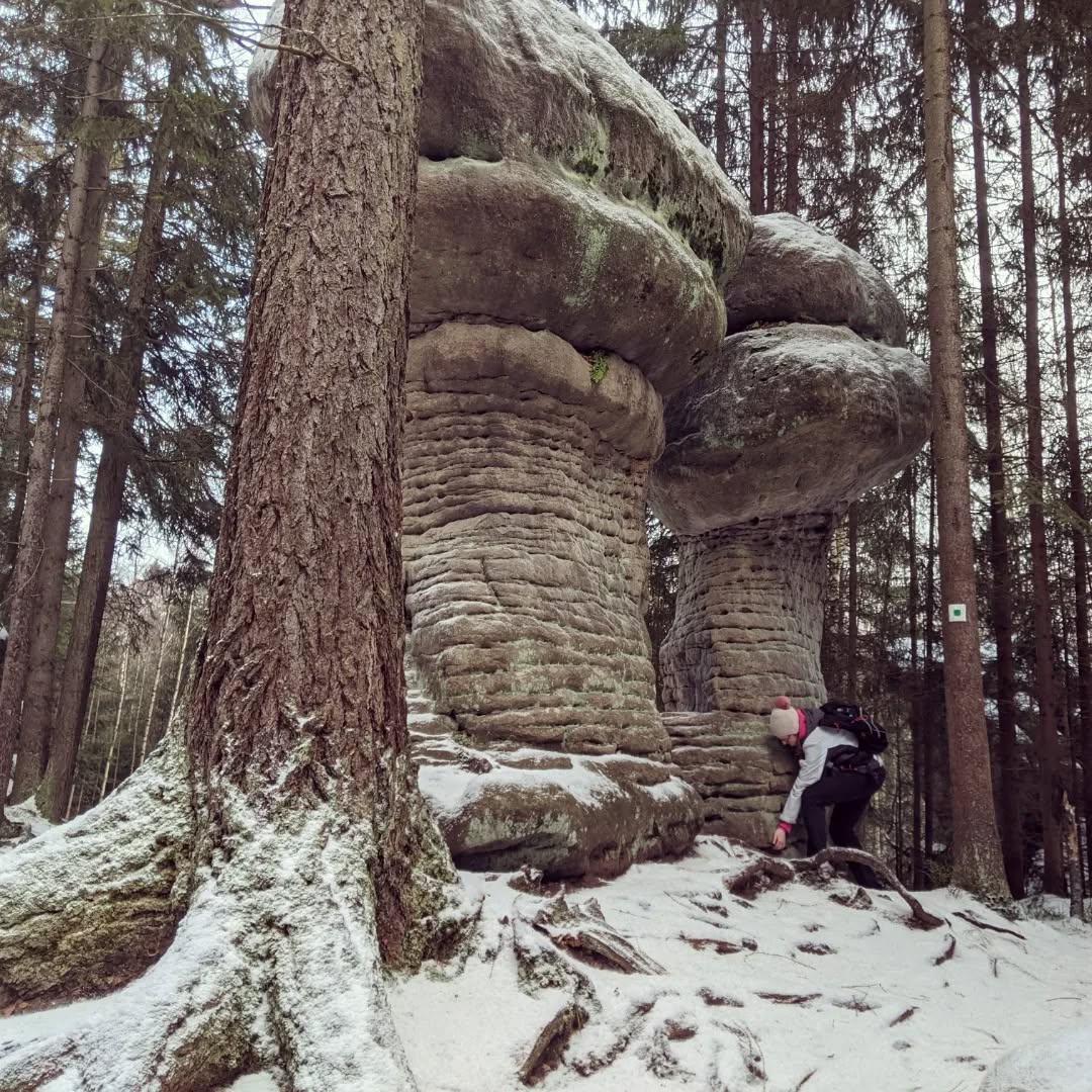 Skalne Grzyby@2022-01-17 - Photo 5