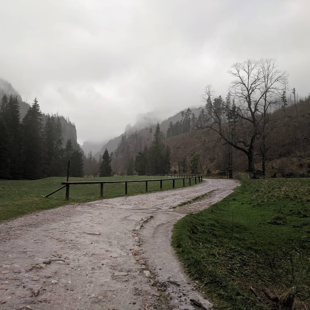 Polana na Stołach@2021-04-21