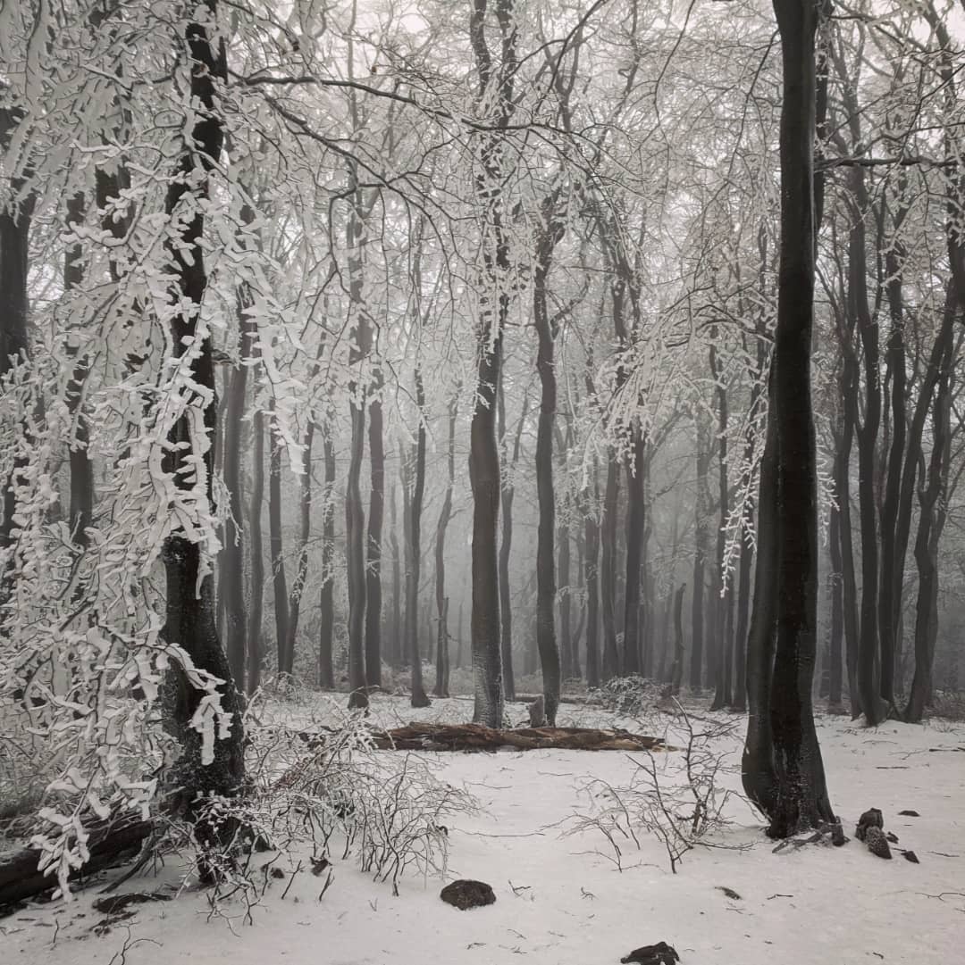 Góry Sowie@2021-12-18 - Photo 9
