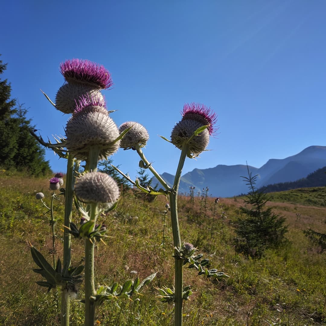 Siwy Wierch@2021-09-01 - Photo 1