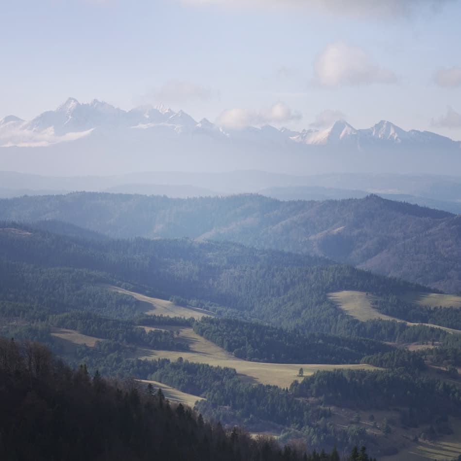 Wysoka 1052 Npm@2021-11-15 - Photo 2