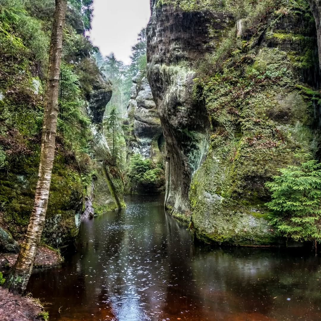 Adršpašské skály@2023-04-02 - Photo 5