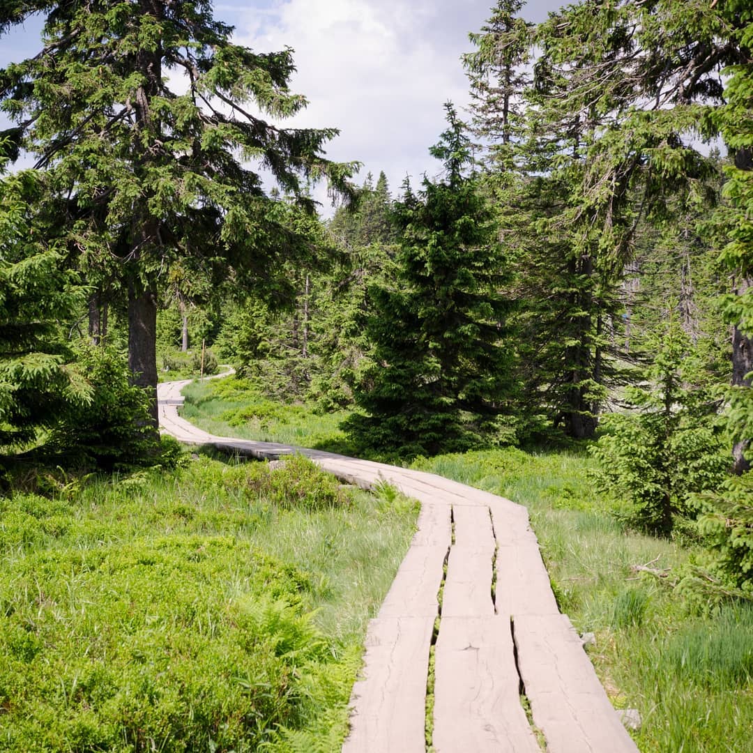 Spindleruv Mlyn@2021-06-28 - Photo 4