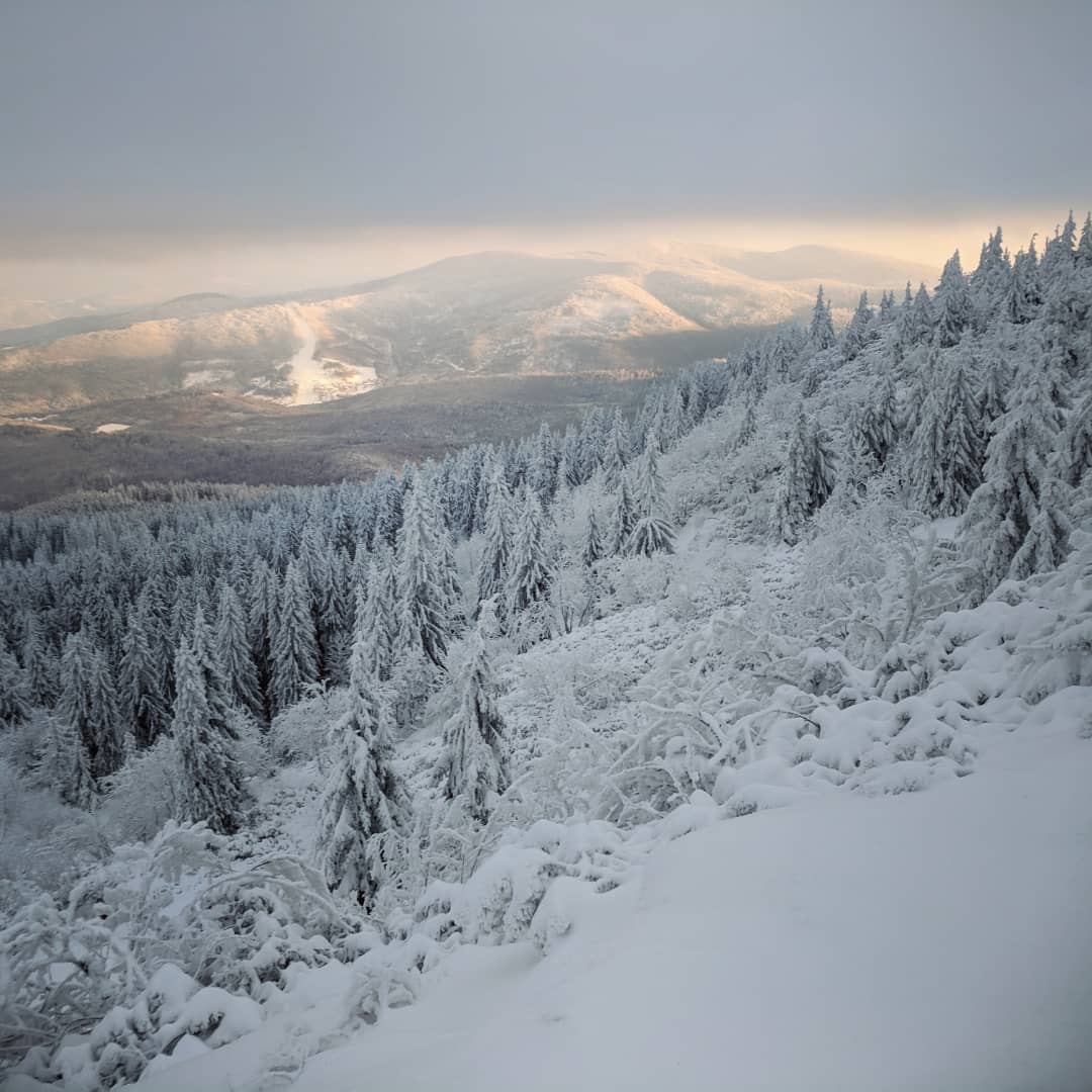 Babia Góra, 1725 m npm@2021-12-16 - Photo 4