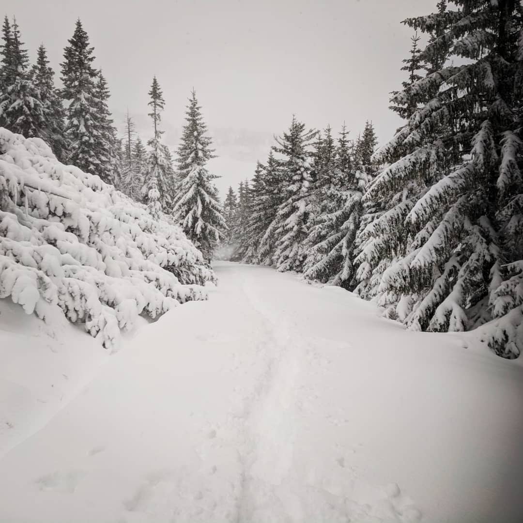 Śnieżka 1603 m npm@2021-12-15 - Photo 4